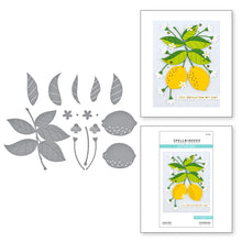 Load image into Gallery viewer, Spellbinders Paper Arts Die Lemon Zest (S4-1173)
