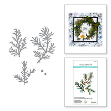 Load image into Gallery viewer, Spellbinders Paper Arts Cutting Dies Winter Evergreen Foliage and Ladybugs (S5-515)
