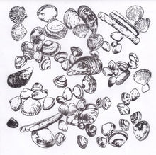 Load image into Gallery viewer, Marianne Designs Background Stamps Tiny&#39;s Seashells (CS0970)
