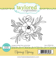 Load image into Gallery viewer, Taylored Expressions Stamp Set Spring Spray (TEMS184)
