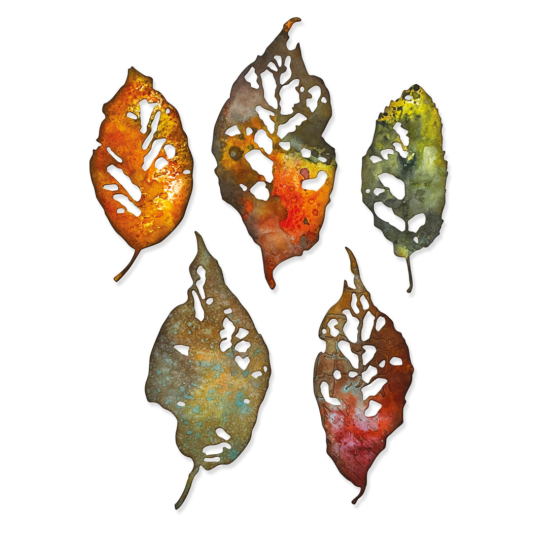 Sizzix Thinlits Dies Leaf Fragments by Tim Holtz (665559)