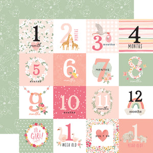 Echo Park Paper Co. Welcome Baby Girl Collection Kit (WBG233016)