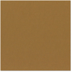 Bazzill Cardstock Mono 12x12 Walnut (309035)