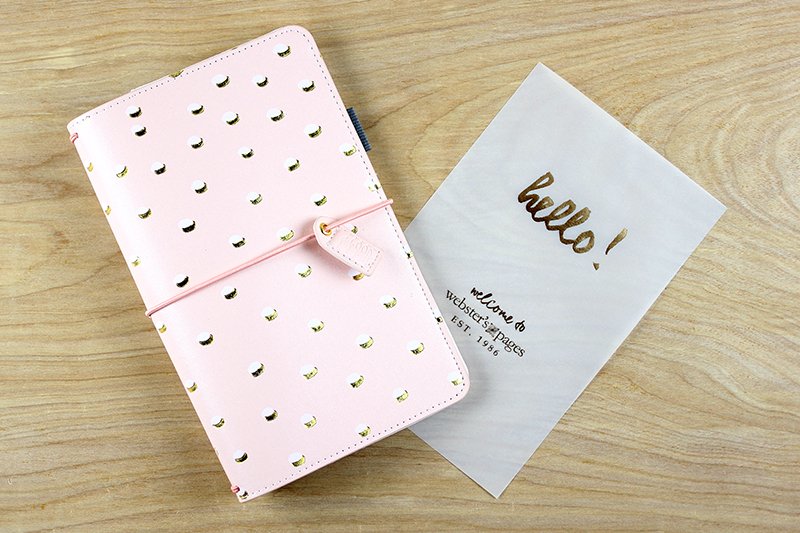 Webster's Pages: Blush Dot A5Binder