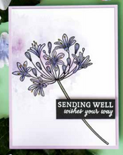 Load image into Gallery viewer, Hero Arts Polyclear Stamps Beautiful Day Agapanthus (CM319)
