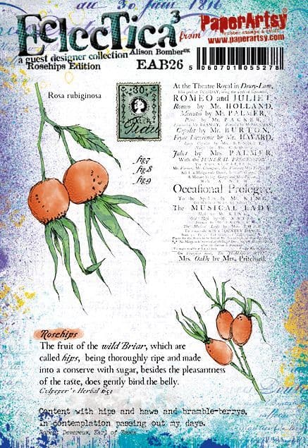 PaperArtsy Electica3 Rubber Stamp Rosehips by Alison Bomber (EAB26)