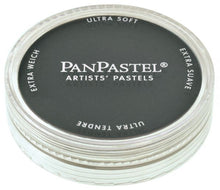 Load image into Gallery viewer, PanPastel Ultra Soft Artist Pastel 9ml-Neutral Grey Extra Dark (28201)
