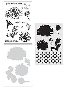 Wendy Vecchi Stamp, Die & Stencil Set Thank You (WVZ70108)