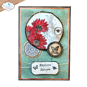 Elizabeth Craft Designs Annette Green Playful Textures (CS386)